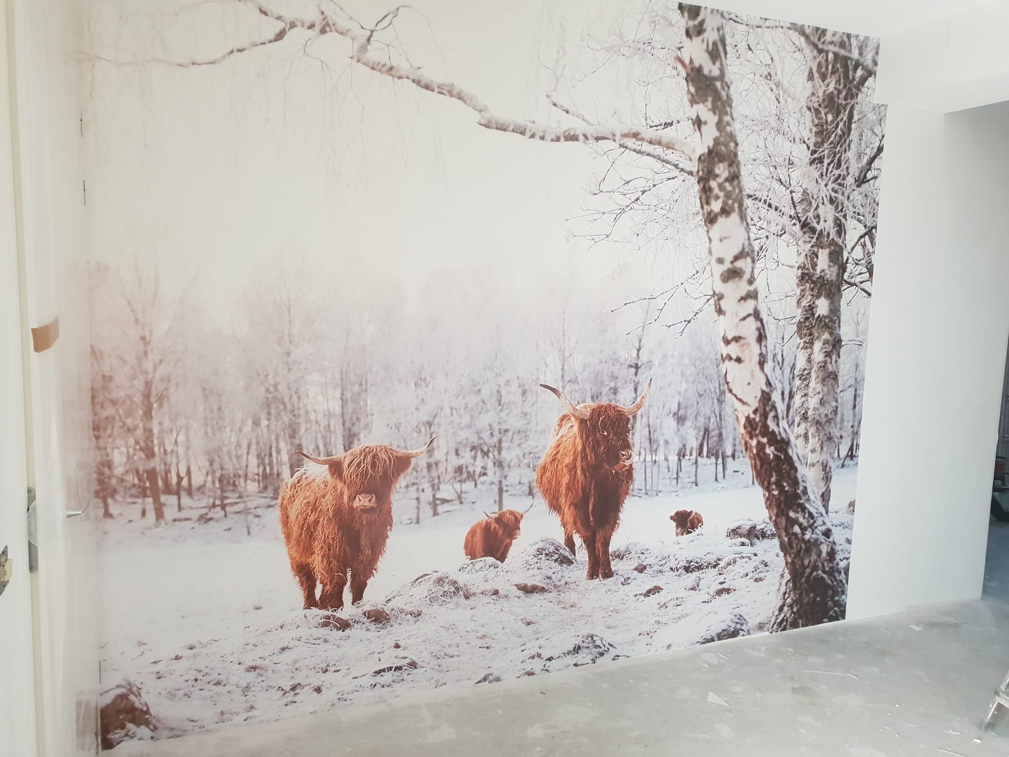 Fotobehang biezon